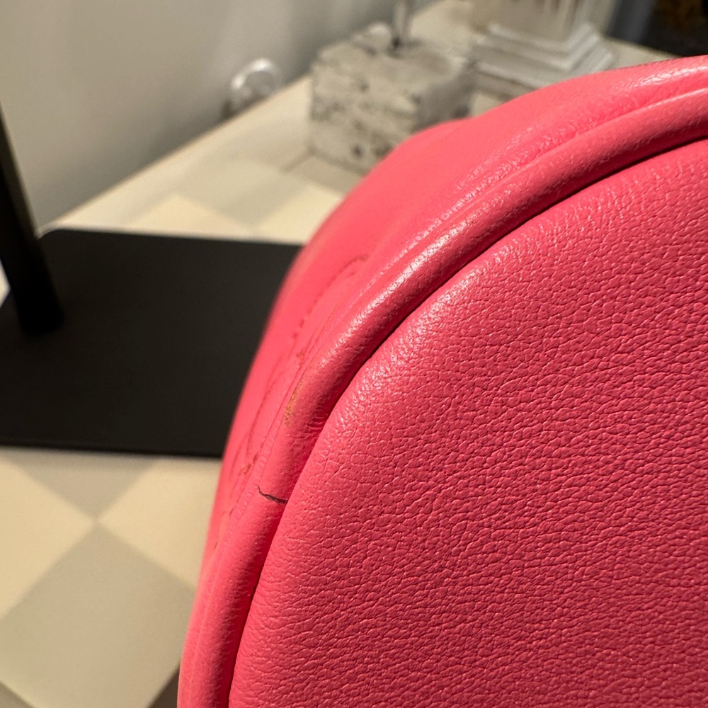 Louis Vuitton Bubblegram Papillon BB in Dragon Fruit - Picture 8 of 16